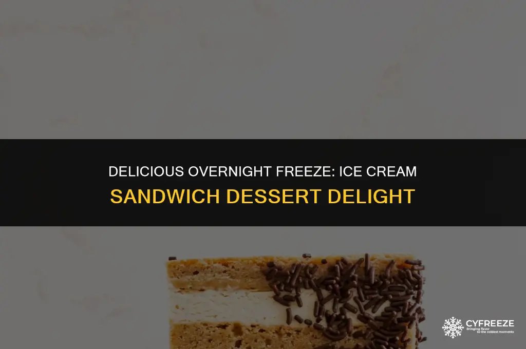 can u freeze ice cream sandwich desser ovet night t