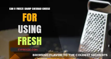 Freshness Preserved: The Ultimate Guide to Freezing Sharp Cheddar Cheese