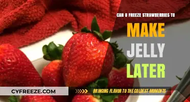Sweet Preservation: Freezing Strawberries for Future Jelly Delights