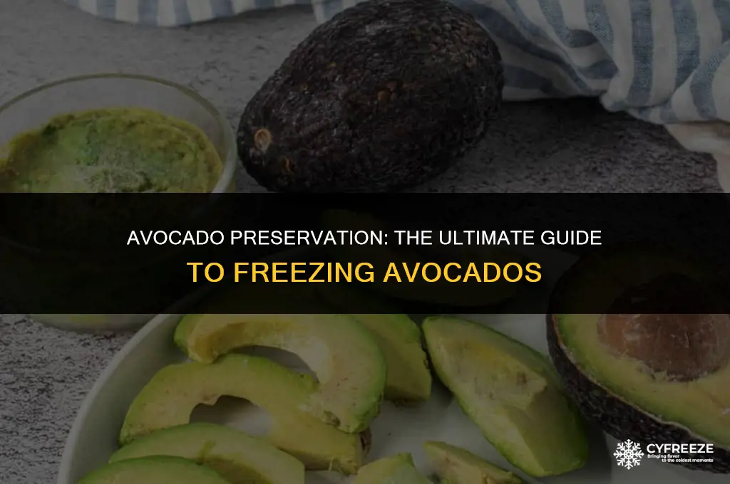 can u put avacodes in freezer