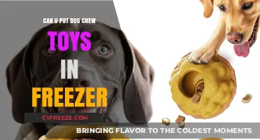 Chill Out: Freezing Dog Chew Toys for a Cool Treat