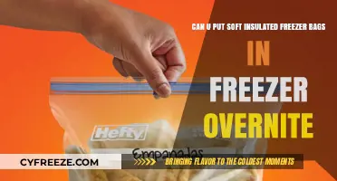 Soft Insulated Freezer Bags: Safe for Overnight Freezing?