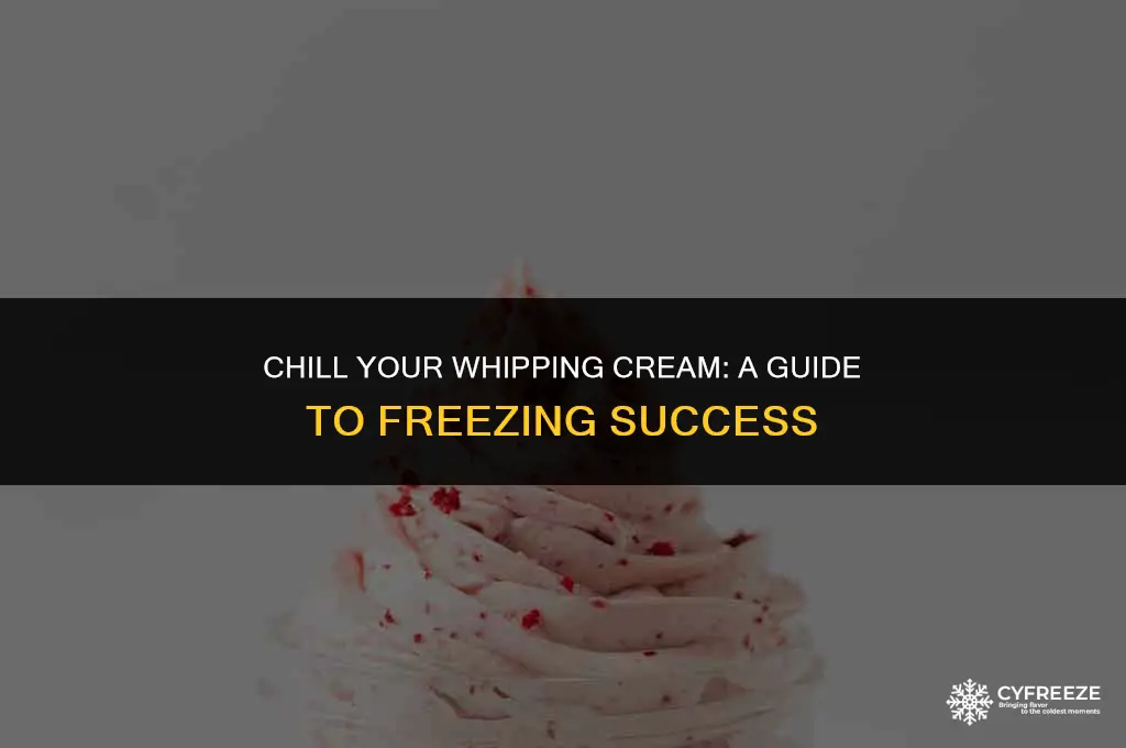 can u put whip cream bottles in freezer