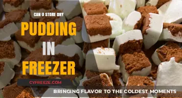 Chill or Not: The Great Dry Pudding Freezer Debate
