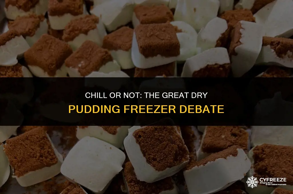 can u store dry pudding in freezer