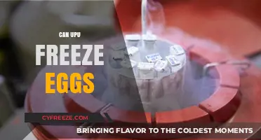 Can You Freeze Eggs? A Guide to Preserving Freshness and Quality