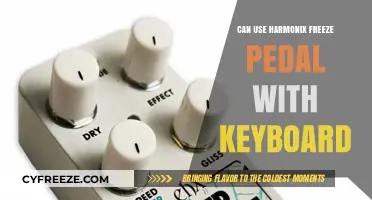 Harmonix Freeze Pedal and Keyboard Compatibility: A Creative Music Setup