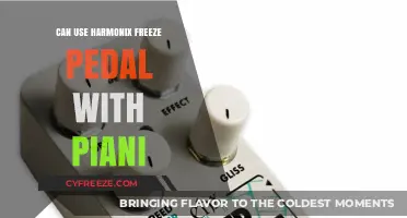 Harmonix Freeze Pedal Compatibility with Piani: A Creative Music Setup