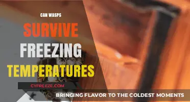 Can Wasps Survive Winter's Freeze? Uncovering Their Cold Resistance Secrets