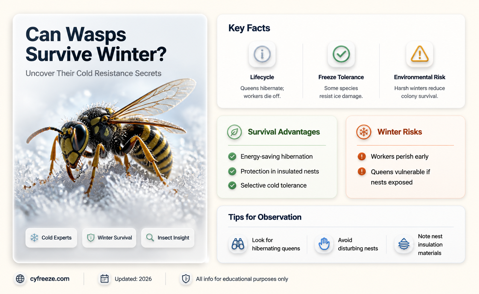 can wasps survive freezing temperatures