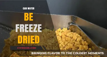 Exploring the Science Behind Freeze-Drying Water: A Comprehensive Guide