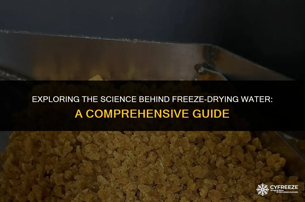 can water be freeze dried
