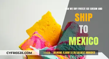 From Freezer to Frontera: The Journey of Dry-Frozen Ice Cream to Mexico