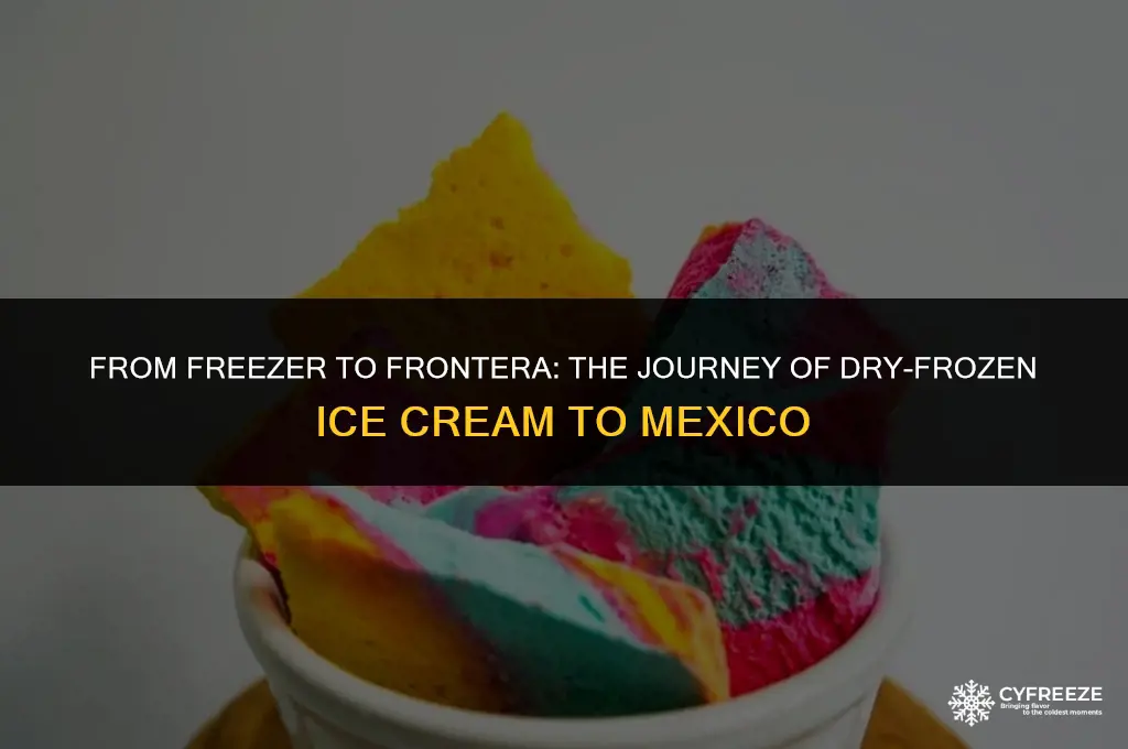 can we dry freeze ice cream and ship to mexico