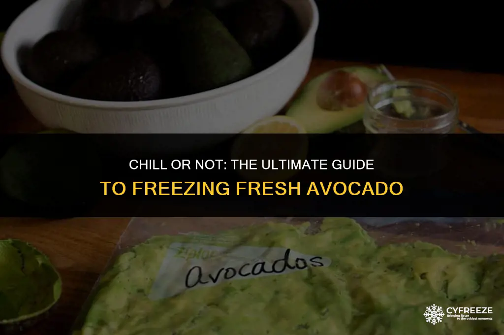 can we freez fresh avocado