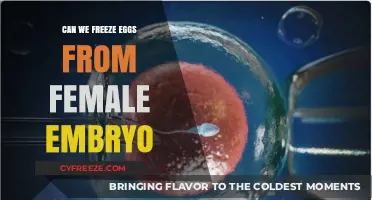 Freezing Female Embryo Eggs: Possibilities, Process, and Preservation Explained