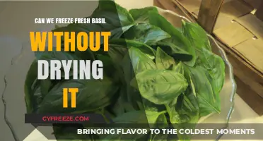 Preserving Fresh Basil: A Guide to Freezing Without Drying