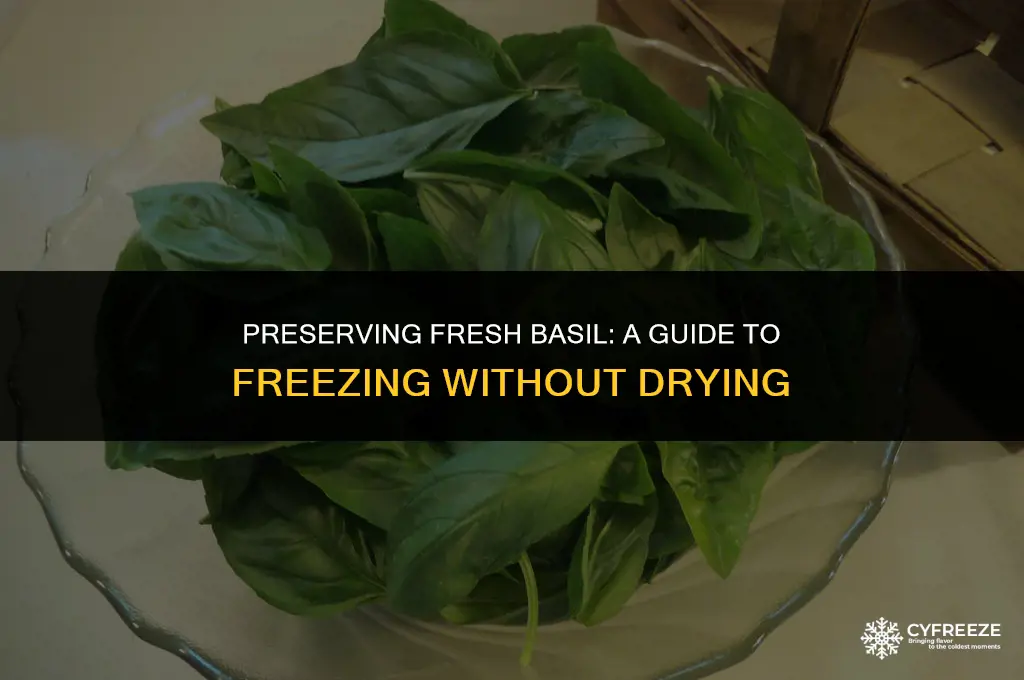 can we freeze fresh basil without drying it