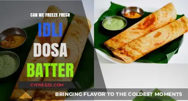Preserving Freshness: The Ultimate Guide to Freezing Idli Dosa Batter