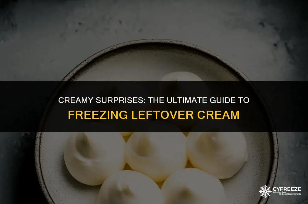 can we put left overs cream in freeze
