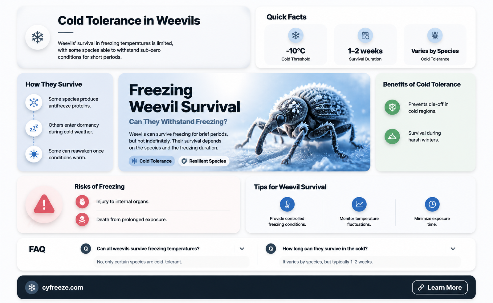 can weevil survive freezing temperatures