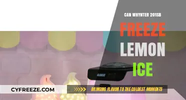 Chill Your Lemons: The Whynter 201SB's Ice-Freezing Prowess