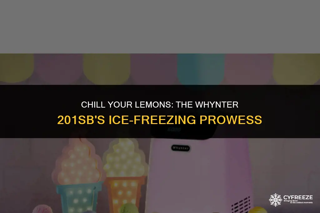 can whynter 201sb freeze lemon ice
