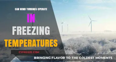 Wind Turbines in Winter: Freezing Temperatures and Operational Efficiency