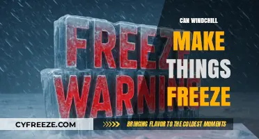 Chilling Insights: How Wind Chill Can Freeze Objects Faster