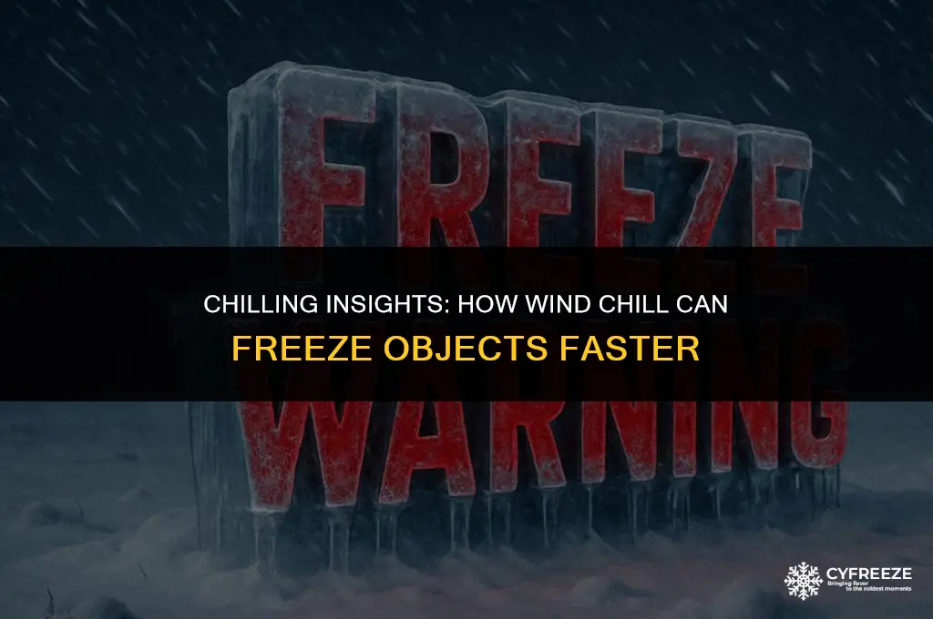 can windchill make things freeze