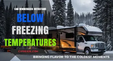 Can Winnebagos Survive Sub-Zero Temps? Winter RV Durability Explained