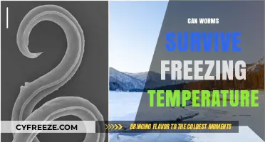 Can Worms Survive Freezing Temperatures? Uncovering Their Winter Survival Secrets