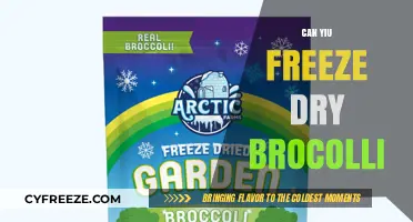 Preserving Nature's Bounty: The Art of Freeze-Drying Broccoli