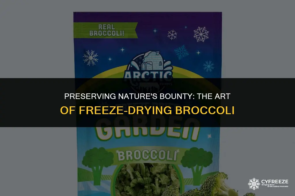 can yiu freeze dry brocolli