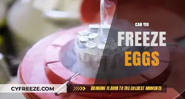 Can You Freeze Eggs? A Guide to Preserving Freshness and Quality