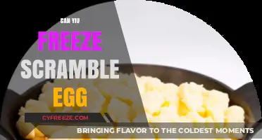 Can You Freeze Scrambled Eggs? A Complete Guide to Meal Prep