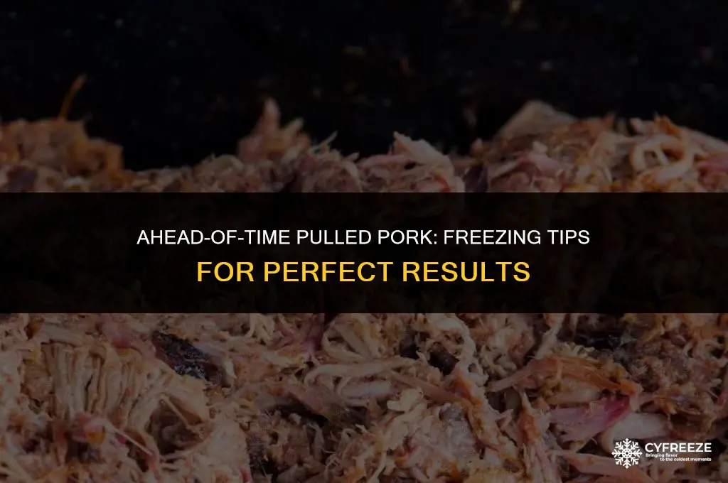 can yiu make pulled pork ahead if time and freeze