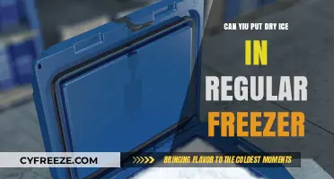Dry Ice Dilemma: Safe Storage in Your Home Freezer?