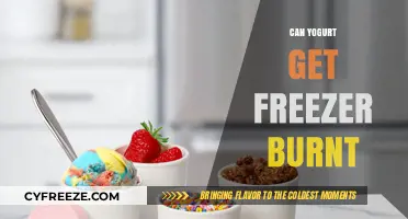 Can Yogurt Get Freezer Burnt? Understanding Storage and Preservation Tips