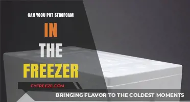Foam in the Freeze: A Guide to Safe Storage Solutions