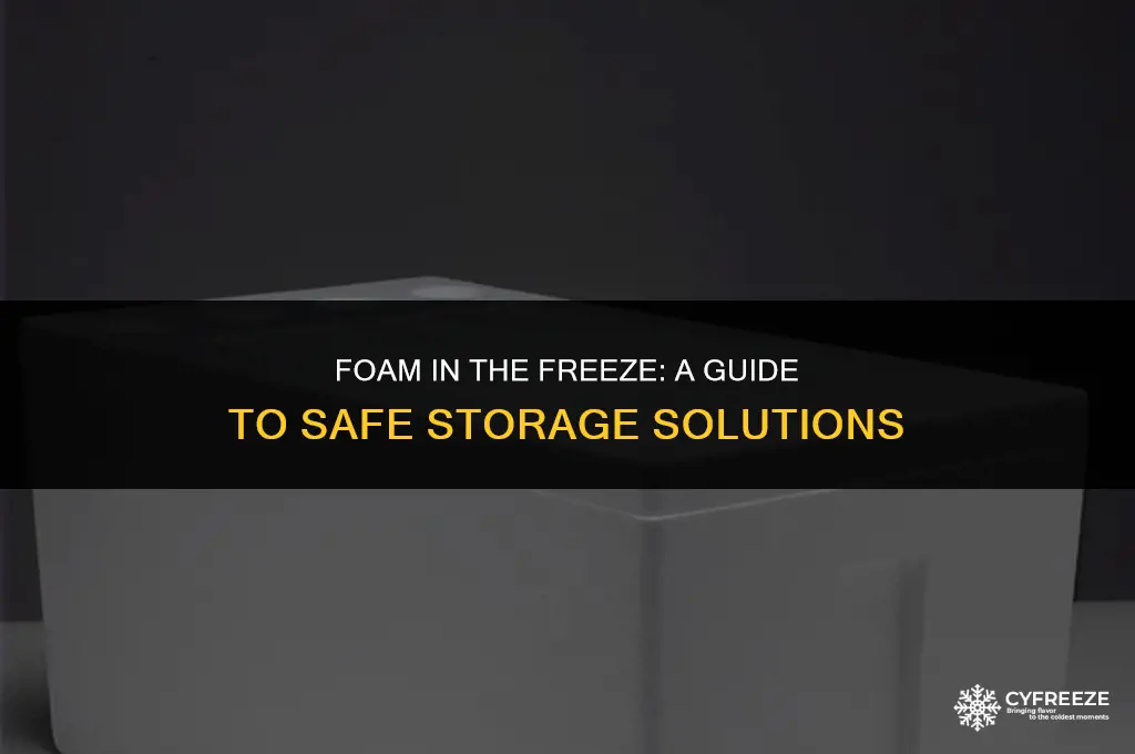 can yoou put strofoam in the freezer