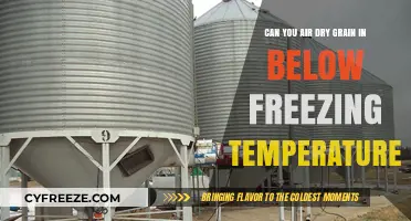 Chilly Grains: Air Drying in Subzero Temps - A Guide