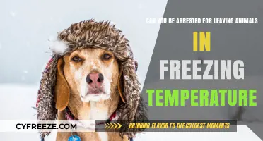 Legal Consequences of Leaving Pets in Freezing Temperatures: What You Need to Know