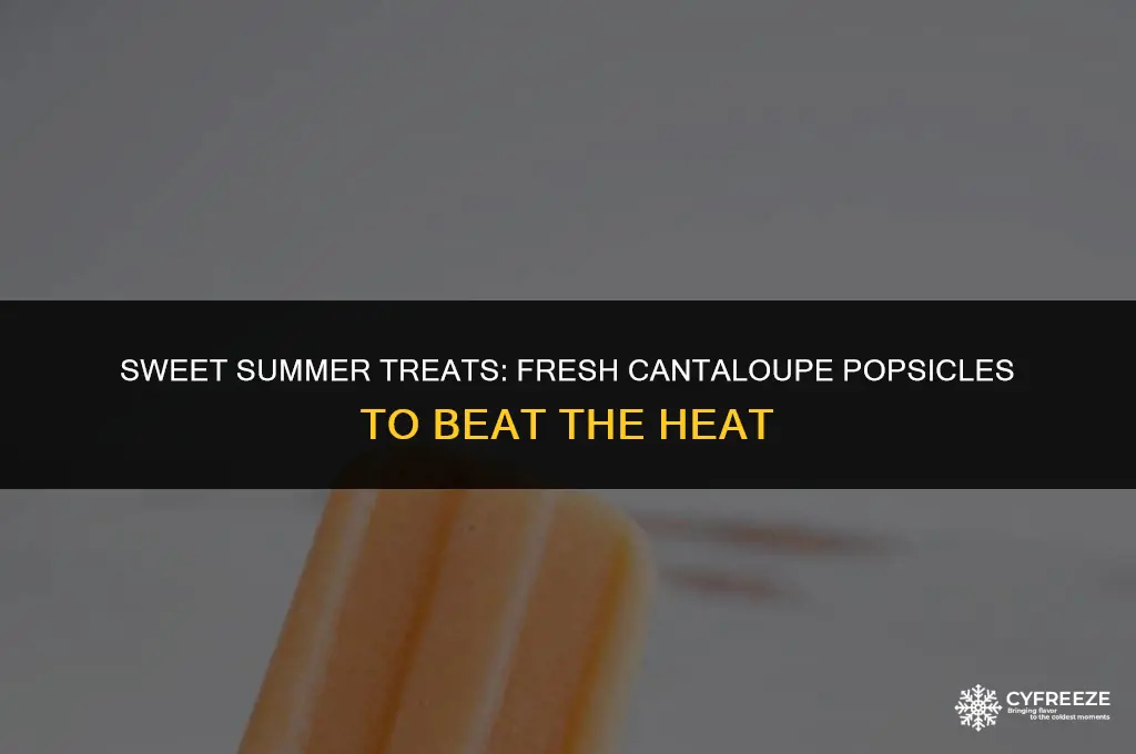 can you blend fresh cantaloupe and freeze in popsicles