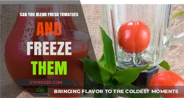 Fresh to Frozen: The Ultimate Guide to Blending and Freezing Tomatoes