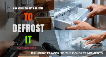 Quick and Easy: Defrosting Your Freezer with a Blow Dryer