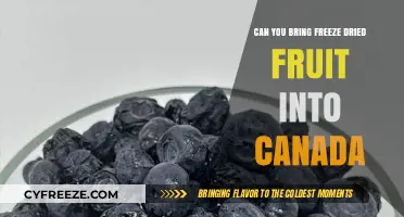 Exploring Canadian Customs: Freeze-Dried Fruit Importation Guide