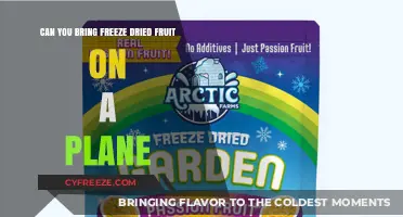 Sky-High Snacks: The Freeze-Dried Fruit Travel Guide