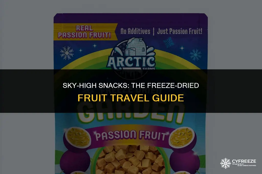 can you bring freeze dried fruit on a plane