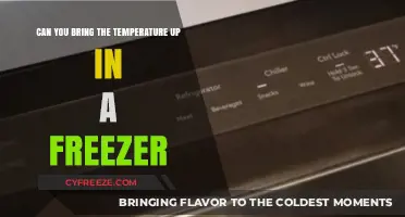 How to Safely Raise Freezer Temperature: Tips and Tricks